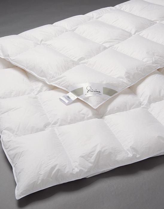 6.30 First Class***** Duvet Classic